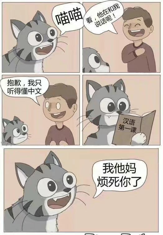 from 平壤卫视
