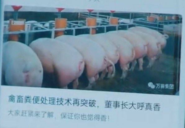 🤔️from 平壤卫视