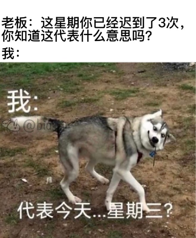 from 平壤卫视 via 呀