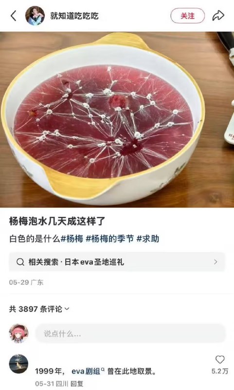 via 7号沙雕网友