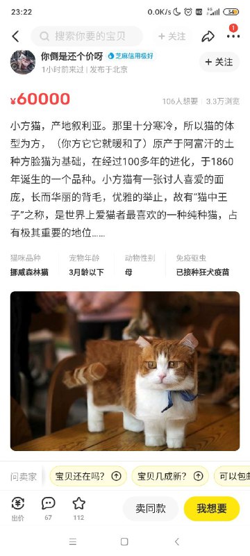 《 MC 方块猫猫 》