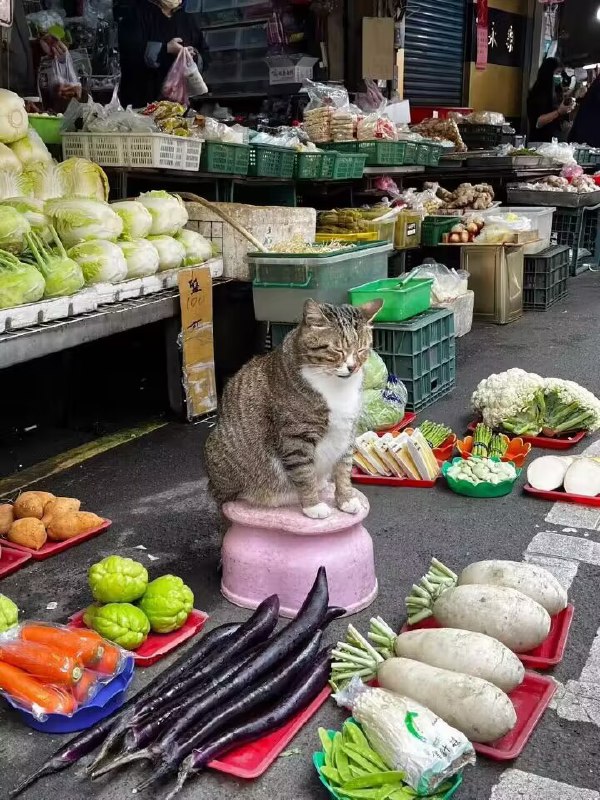 via Haiun Bccny