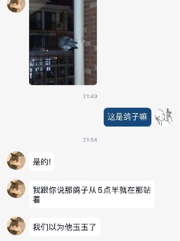 via 君生我未生，我生君已老
