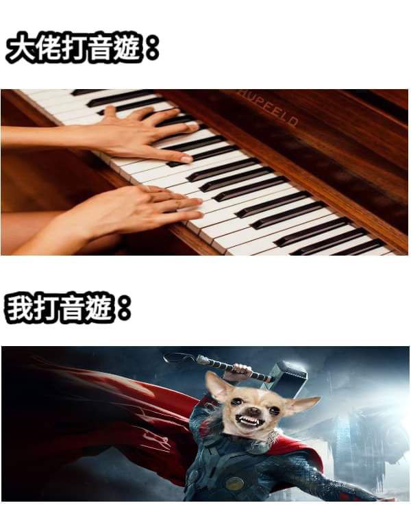from 心惊报