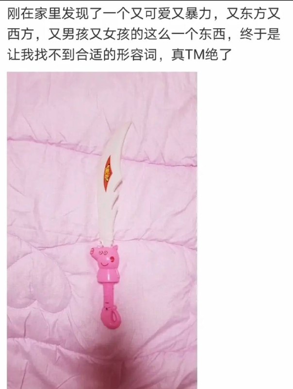 from 平壤卫视