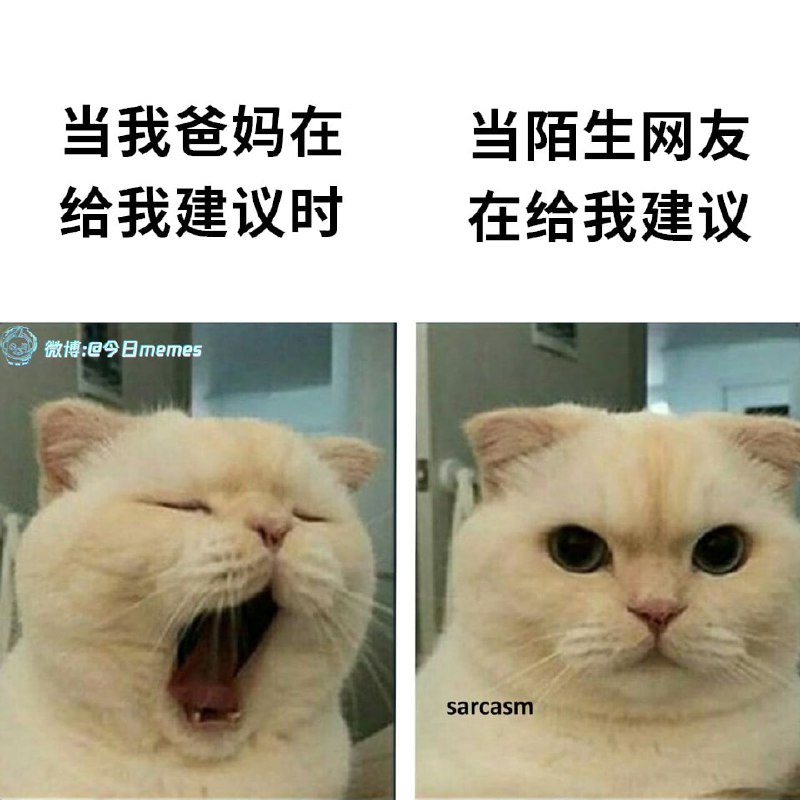 作为陌生网友我建议你听你爸妈给你的建议