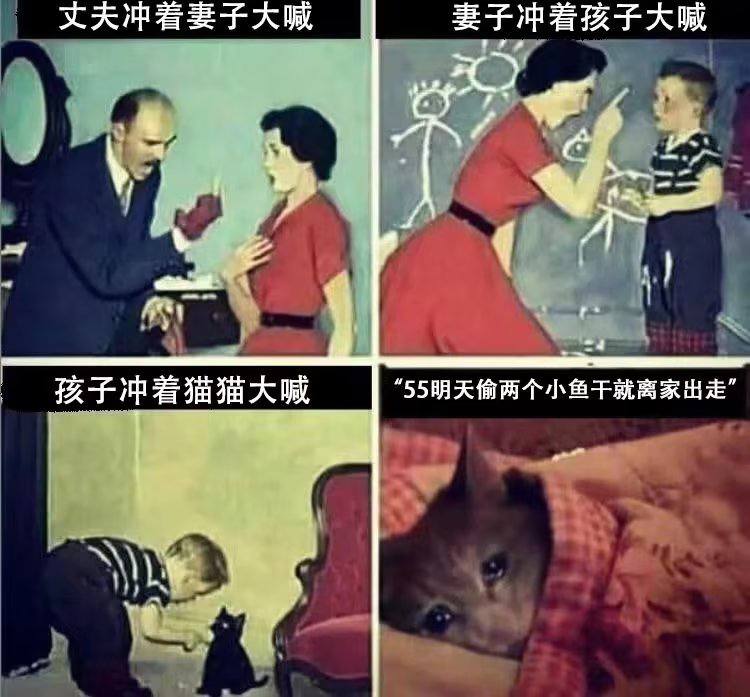 from meme via G 802