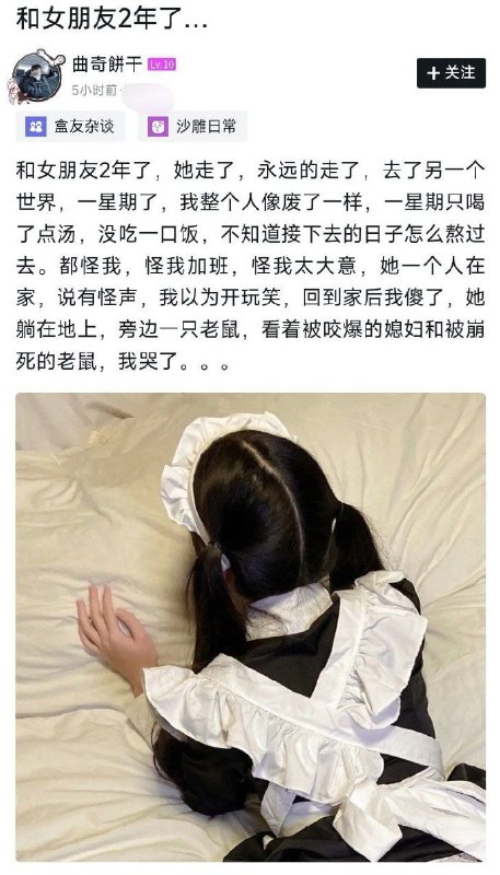 from 平壤卫视