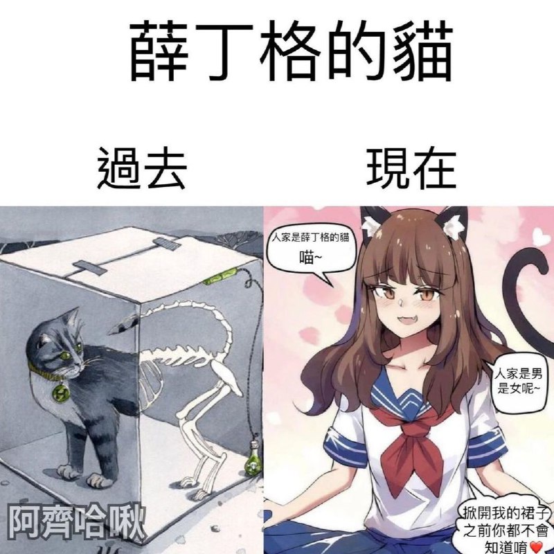 from 心惊报