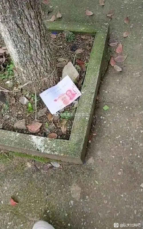 吧友的攻击力日常满分😁via LDLD 果冻吧友的攻击力日常满分😁via LDLD 果冻