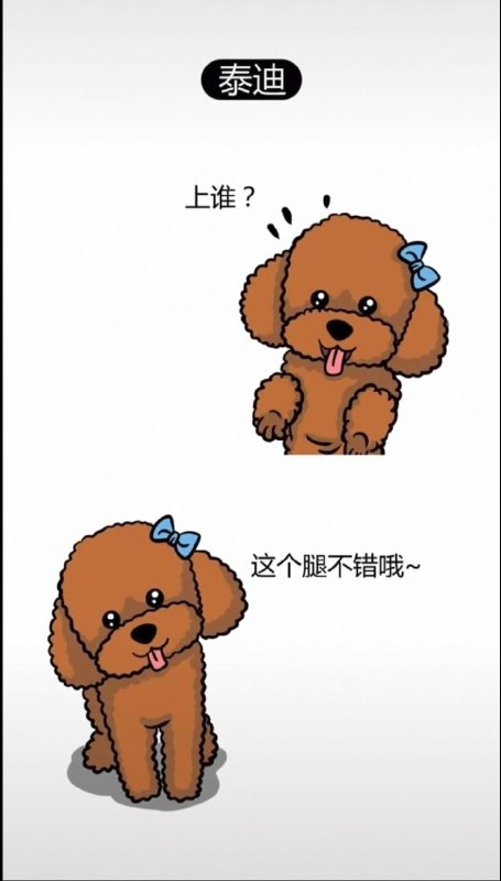 为什么有些狗不能做警犬 #精品为什么有些狗不能做警犬 #精品