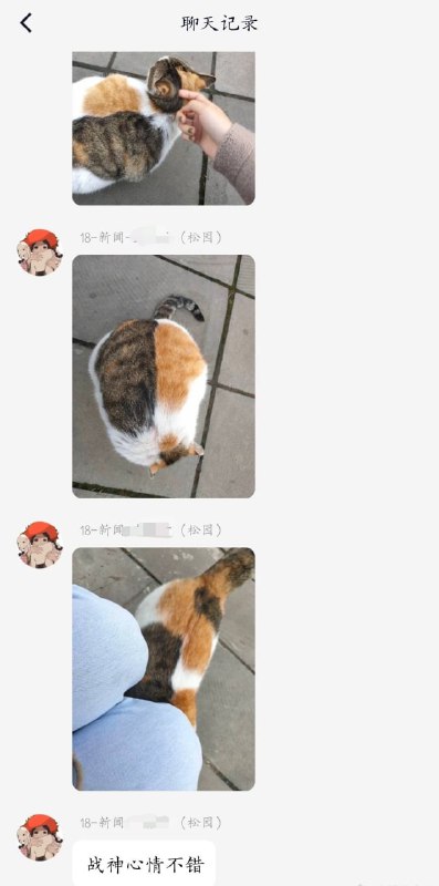 重庆大学校内的猫猫，因为很会打人所以名叫战神，这长得真是胖若两猫...#猫猫from 平壤卫视 via ㅤ重庆大学校内的猫猫，因为很会打人所以名叫战神，这长得真是胖若两猫...#猫猫from 平壤卫视 via ㅤ