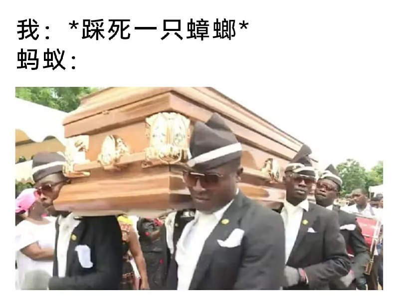 via 7号沙雕网友