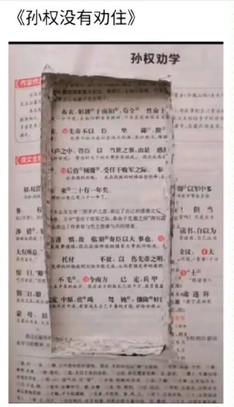 from 平壤卫视