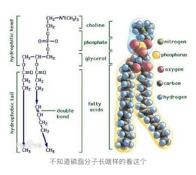 来自理科生的夸赞来自理科生的夸赞