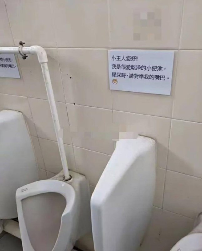 from 平壤卫视