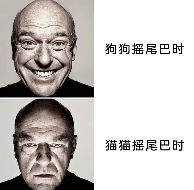 via 6号沙雕网友