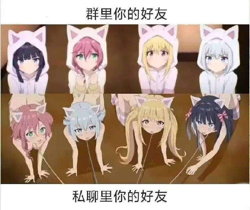 这个是什么动漫