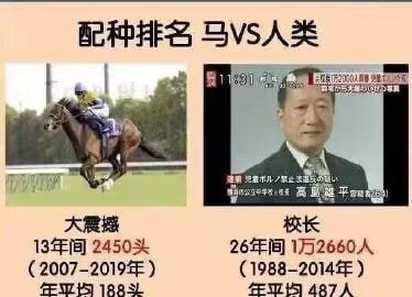 碧蓝档案诚不欺我碧蓝档案诚不欺我
