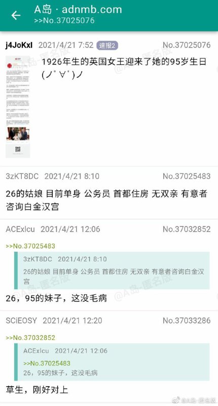 26 95草