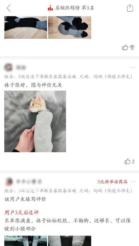 猫：😾via Dicy Frank猫：😾via Dicy Frank