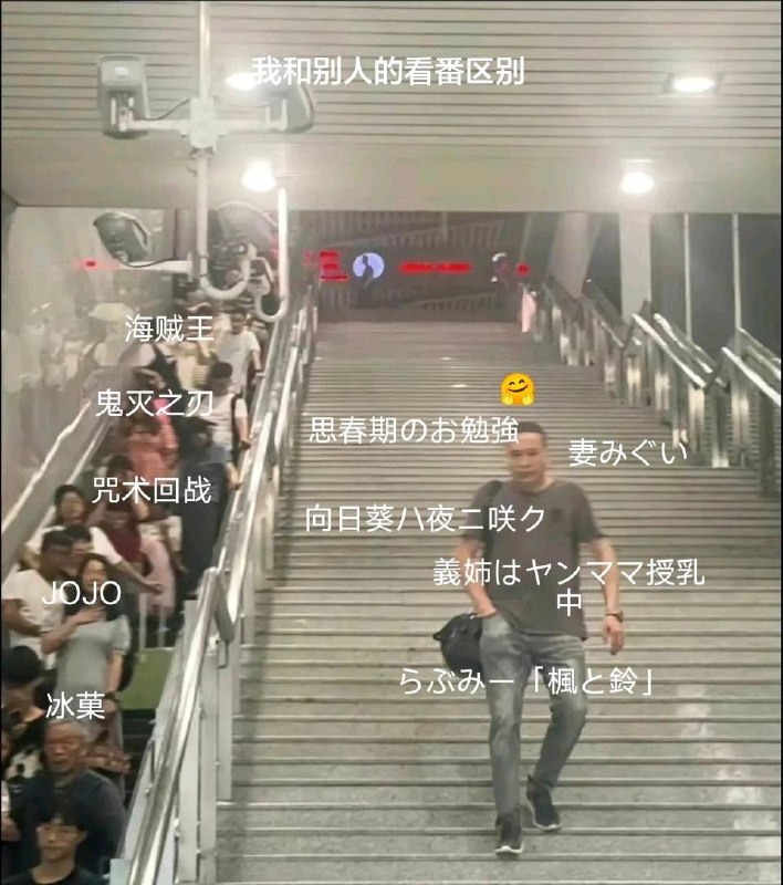 from 好像吃饭了 via efsg