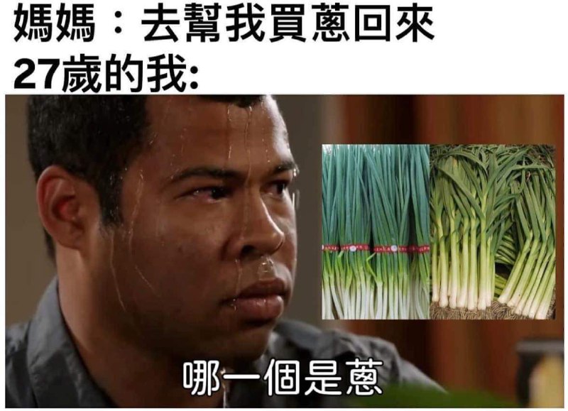 結果買了韭菜from 什麼都來點 via DECADE审核注：五谷不识四体不勤