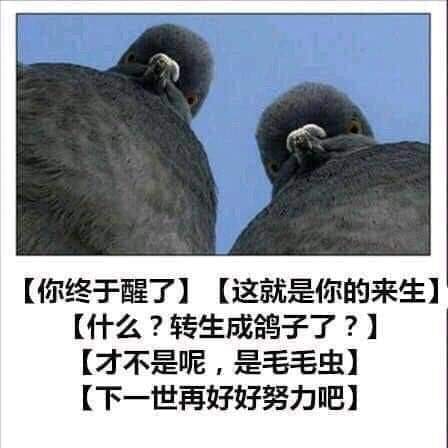 via 宋某人 | 二次元涩图ATMvia 宋某人 | 二次元涩图ATM