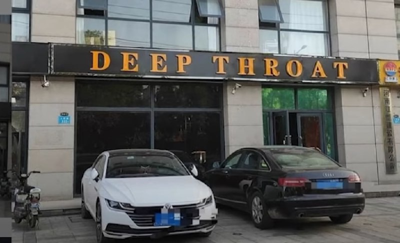 大半夜的笑晕我了大半夜的笑晕我了