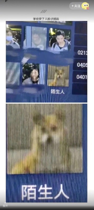 人工智障人工智障