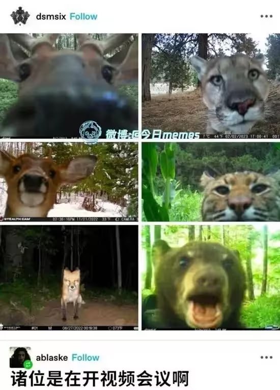 via 7号沙雕网友