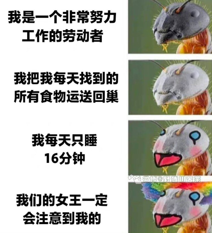 via 张某 犯罪嫌疑人
