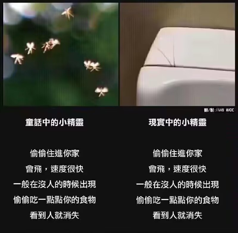 by 滨州from 🔮 奇闻异录 与 沙雕时刻 meme collection