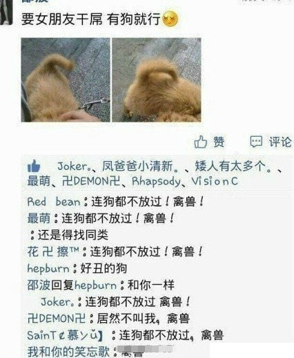 爱情买卖爱情买卖