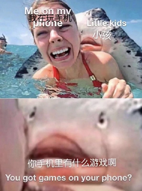 from 平壤卫视 via 呀