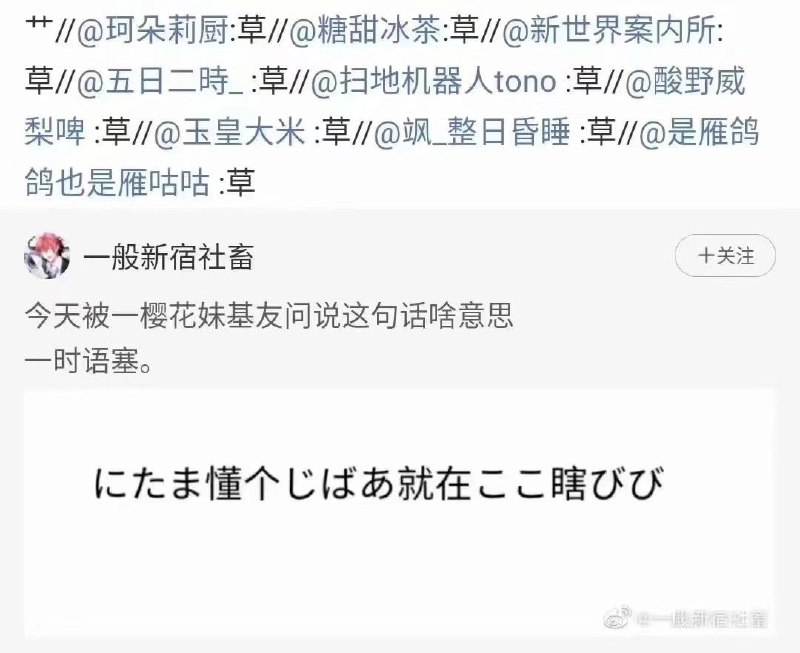 via 大脸猫
