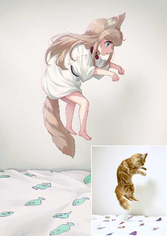 from 每日无数猫from 每日无数猫