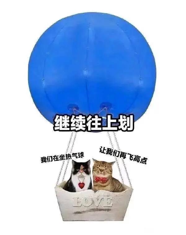via 犯罪嫌疑人张某