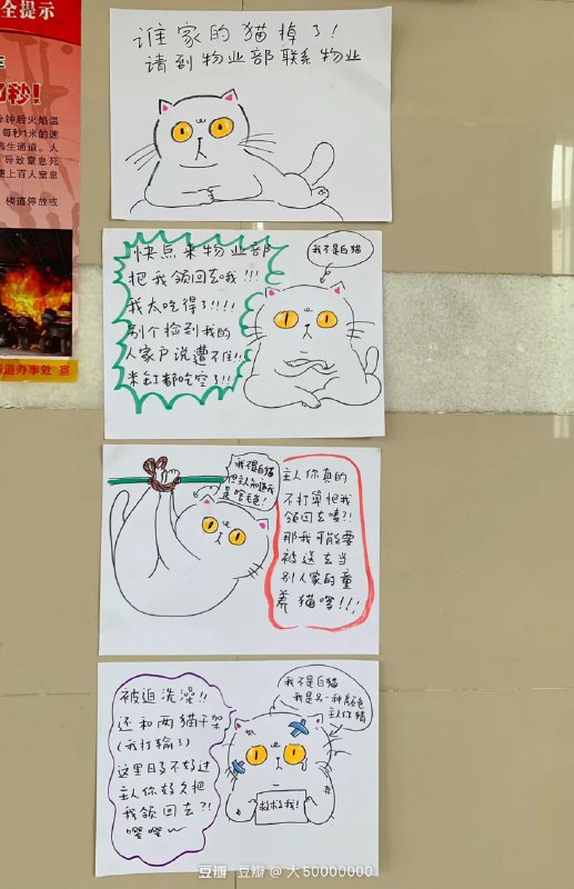 领猫启示贴到第四天终于找到主人咯！