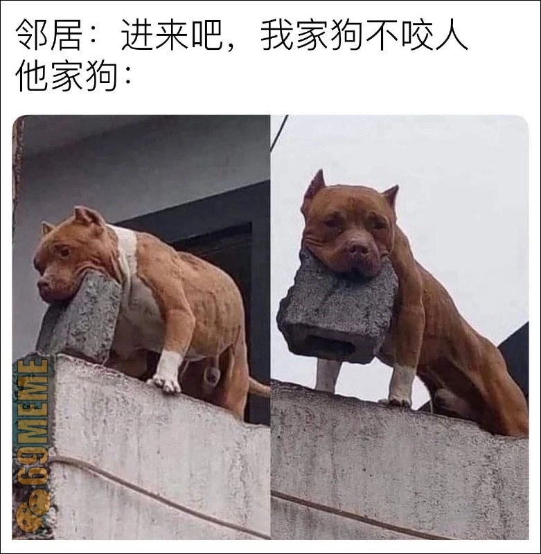 via 猫又云云