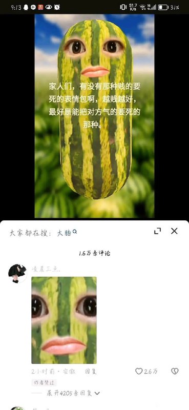 via 张某 犯罪嫌疑人