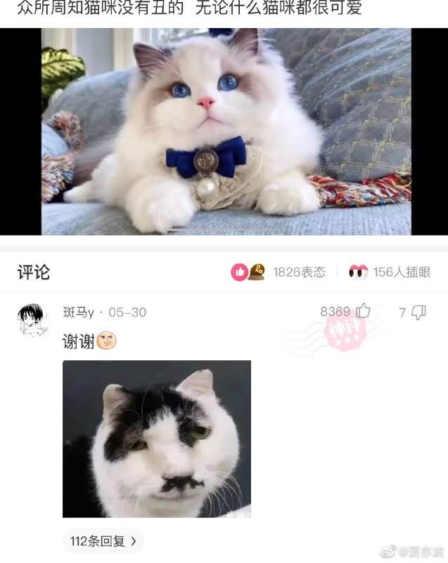 from 平壤卫视
