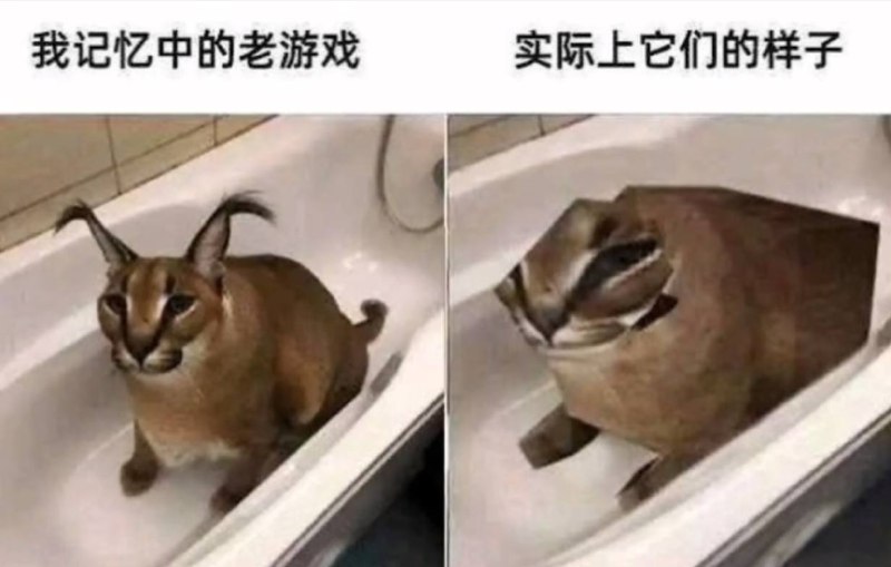 via 张某 犯罪嫌疑人