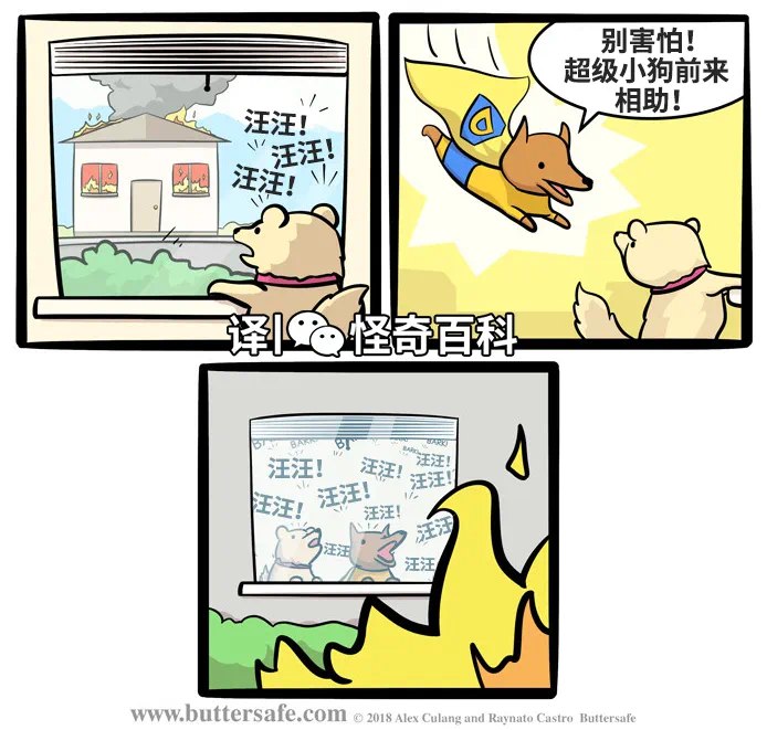 咕咕: 
