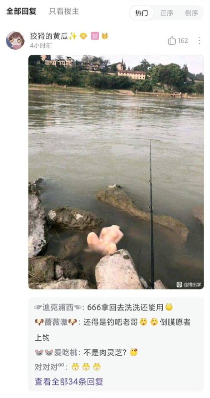 from 平壤卫视from 平壤卫视