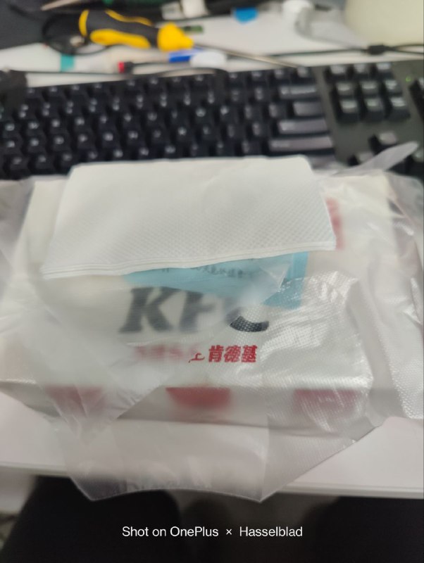 谢谢诸葛大叔买的肯德基