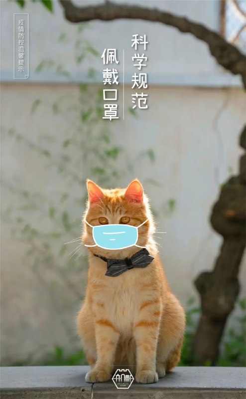 #苏州园林的猫  苏州防疫宣传，掌握了流量密码#苏州园林的猫  苏州防疫宣传，掌握了流量密码