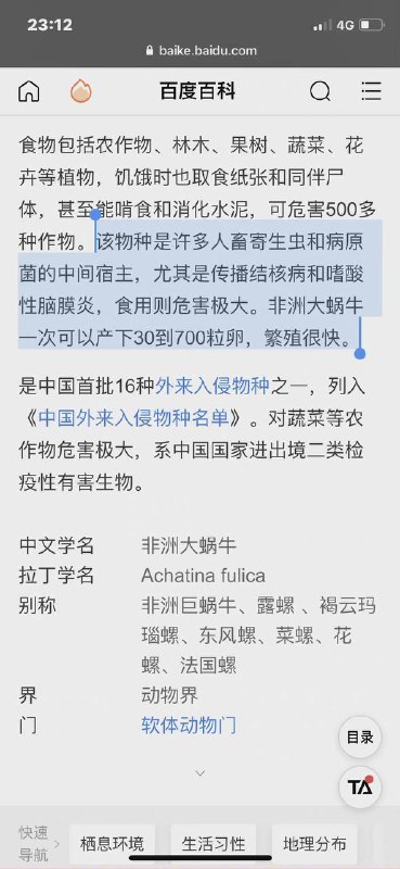 尖沙咀狂徒洒盐虐杀蜗牛！来源尖沙咀狂徒洒盐虐杀蜗牛！来源
