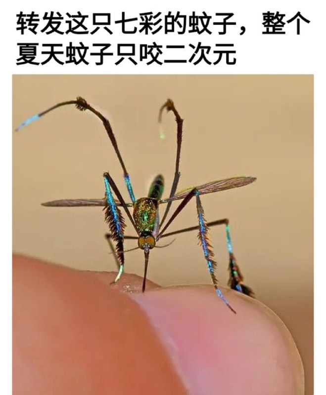 from 美图与沙雕