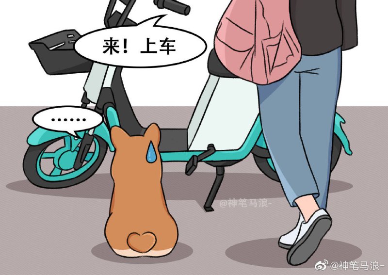 #狗狗#狗狗